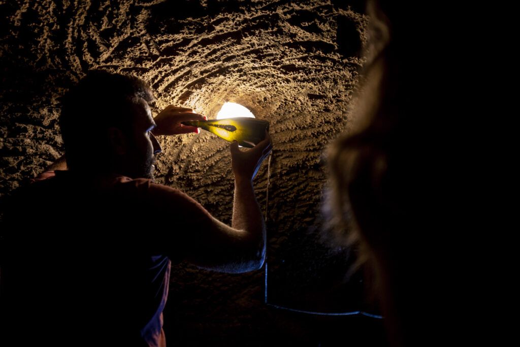 Trebotti – vini biologici a Castiglione in Teverina