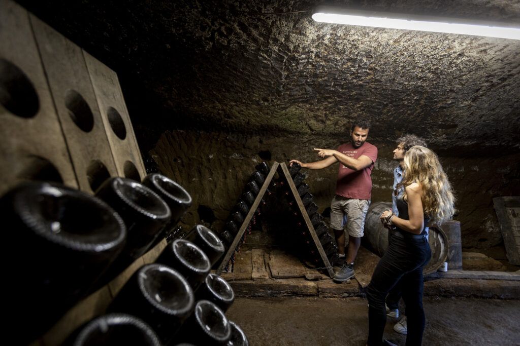 Trebotti – vini biologici a Castiglione in Teverina