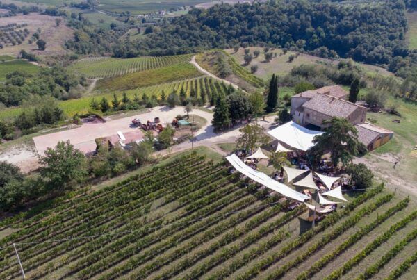 Trebotti – vini biologici a Castiglione in Teverina
