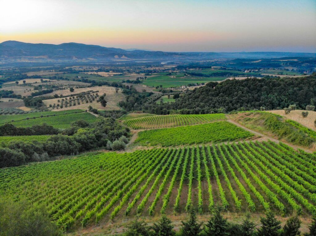 Azienda Biologica Trebotti – Castiglione in Teverina, Tuscia