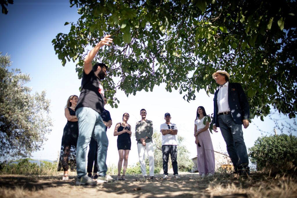 EcoWineExperience Trebotti – degustazione e visita in vigna a Castiglione in Teverina