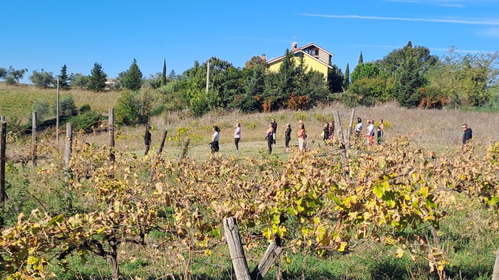 trebotti-camminata-metabolica-02-tra-i-filari